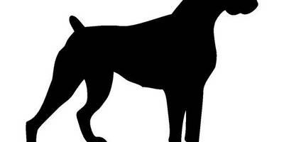 Животные 1944