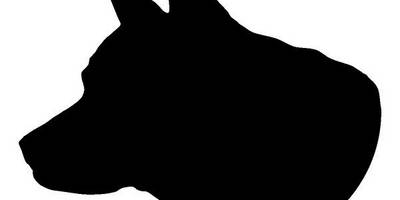 Животные 3576