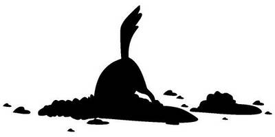 Животные 4323