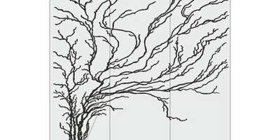 Прямоугольный орнамент 2084