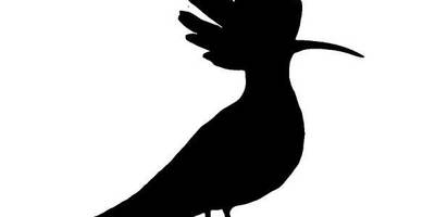 Животные 983