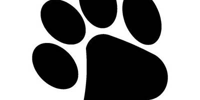 Животные 2199