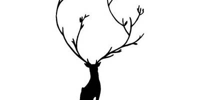 Животные 1339