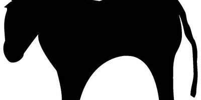 Животные 1353