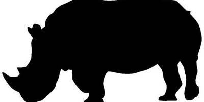 Животные 3416