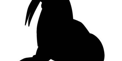 Животные 585