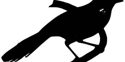 Животные 941