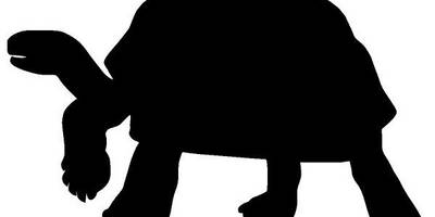 Животные 3234