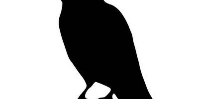 Животные 526