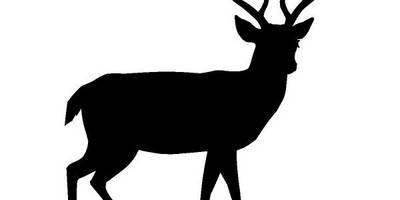 Животные 685