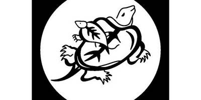 Японский узор 1672