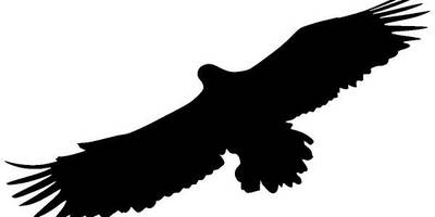 Животные 3981