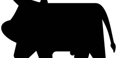 Животные 1431