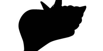 Животные 2060