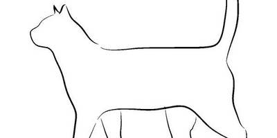 Животные 3290