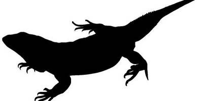 Животные 2152