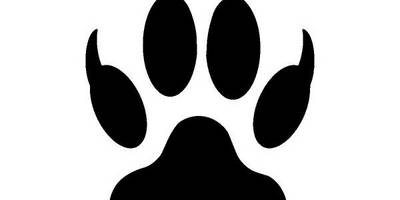 Животные 1106