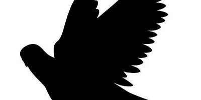 Животные 874