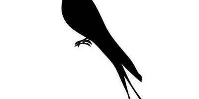 Животные 693