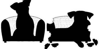 Животные 1213