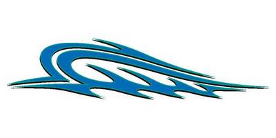 Виниловая наклейка на авто 104