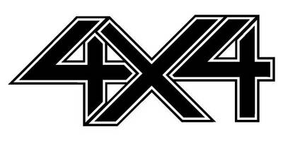 Виниловая наклейка на авто 19