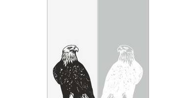 Прямоугольный орнамент 2920