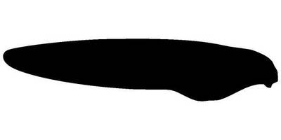 Животные 3342