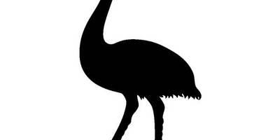 Животные 3627