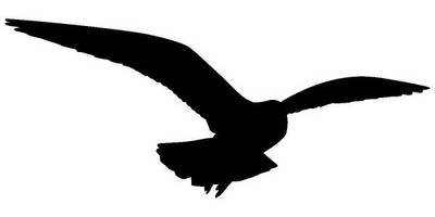 Животные 3315