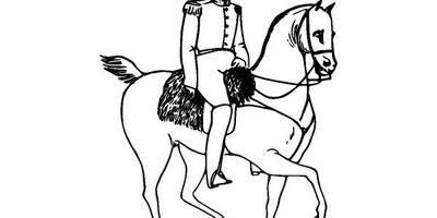 Животные 3687