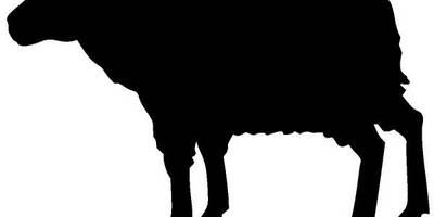 Животные 301