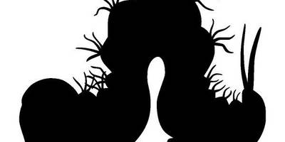 Животные 2489