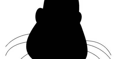 Животные 2363