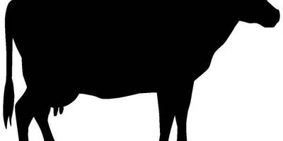 Животные 700