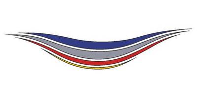 Виниловая наклейка на авто 451