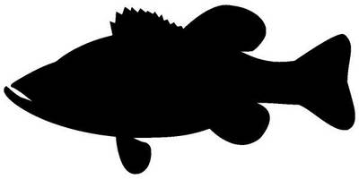 Животные 2966