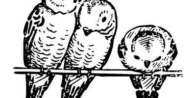 Животные 1285