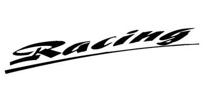 Виниловая наклейка на авто 20