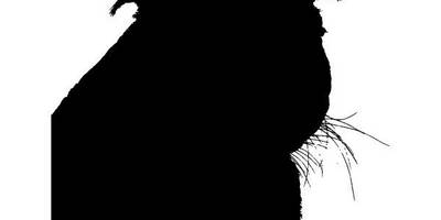 Животные 4003