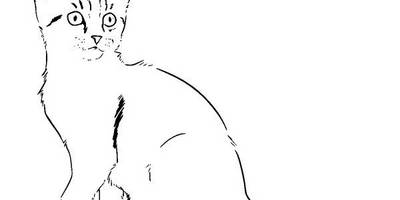 Животные 3731