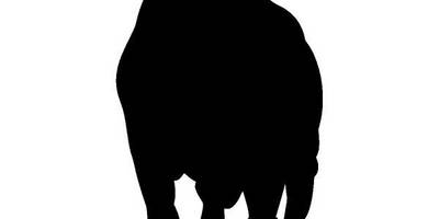 Животные 403