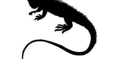 Животные 2188