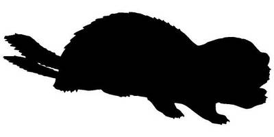 Животные 438