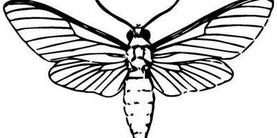 Животные 865