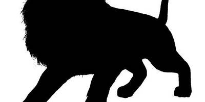 Животные 3360