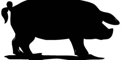 Животные 4063