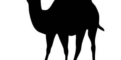 Животные 2906