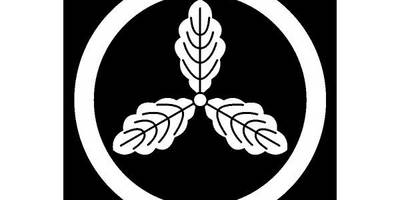 Японский узор 1338