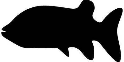 Животные 1592